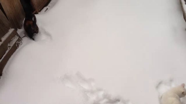 Зимний дворик смотреть онлайн