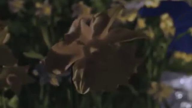 Волшебная страна, Золушка смотреть онлайн