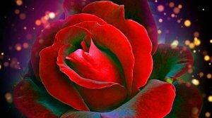 Футаж. Цветочный фон 75