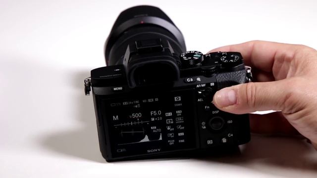 SONY a7 II TUTORIAL | How To Set the Exposure on Sony Alpha 7 II Cameras смотреть онлайн