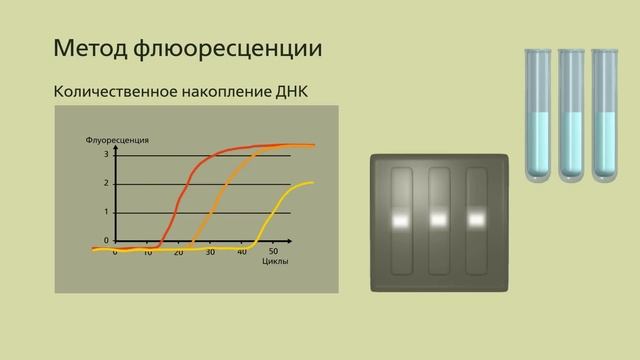 Полимеразная цепная реакция смотреть онлайн