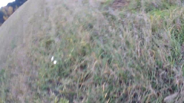 СИМПЛЕКС,осваиваем прибор дальше. смотреть онлайн