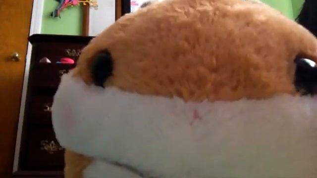 Be BRAVE, not angry! -MiniRoc смотреть онлайн