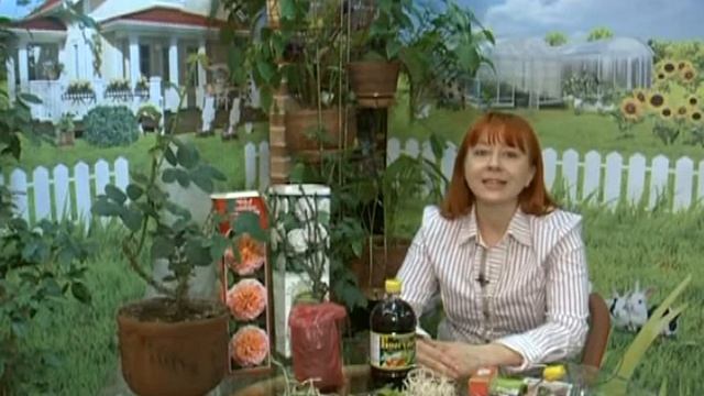 Дачный сезон на 290314 смотреть онлайн