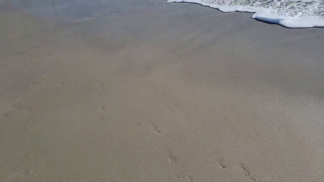 Купаемся в Океане Декабрь Месяц 2021 смотреть онлайн