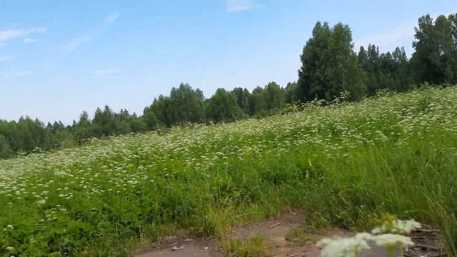 Смоленск - щит России! №1 Место рождения адмирала Нахимова П.С. смотреть онлайн