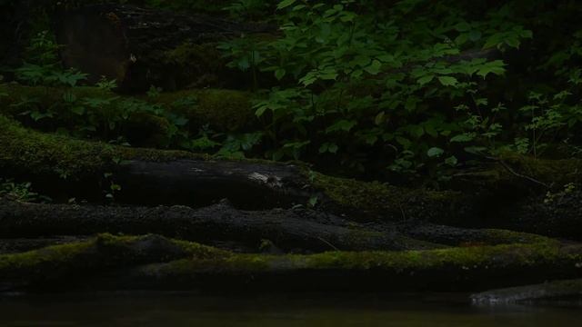 Chill Relax Peace Calm - Express Stress Reducer For WORK  - 4 Minute River Ripple