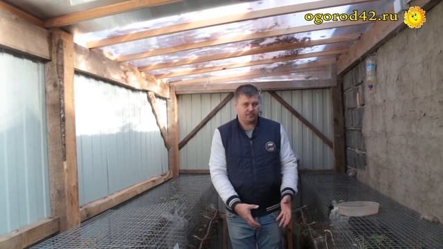 О кроликах в саду: не мех, но мясо и много-много пользы смотреть онлайн