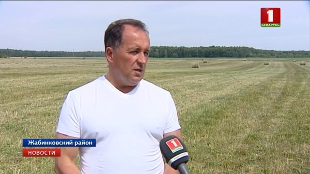 На юге Беларуси практически завершен первый укос трав смотреть онлайн