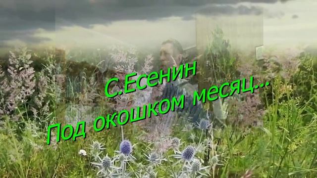 Колодезянские бабушки круче "бурановских",они вживую поют! смотреть онлайн