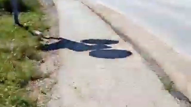 Еду в Алнаши смотреть онлайн