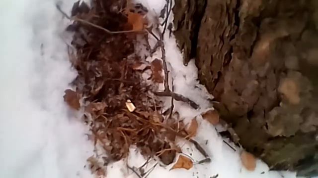 Александр Пичуев Ритуал Уральских эльфов смотреть онлайн