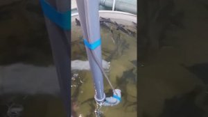 ЭРЛИФТ В УЗВ