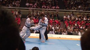 Goderzi Kapanadze - Tariel Nikoleishvili 10th World(HDV).mpg