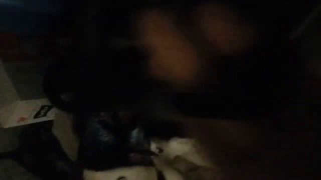 Понятие когда сабака в доме смотреть онлайн
