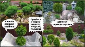 Стрижка хвойных растений в форме шариков, подушек и полусфер.