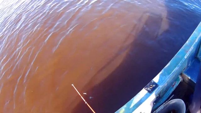 Рыбалка на окуня , только отводной. смотреть онлайн