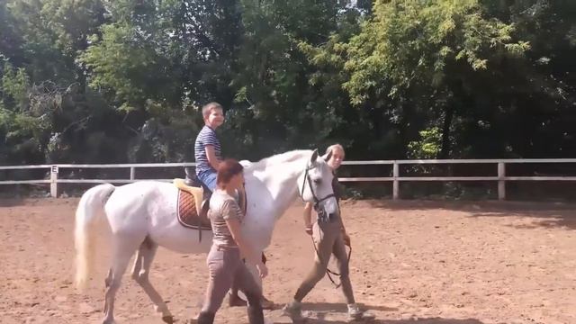 КСК Авангард смотреть онлайн