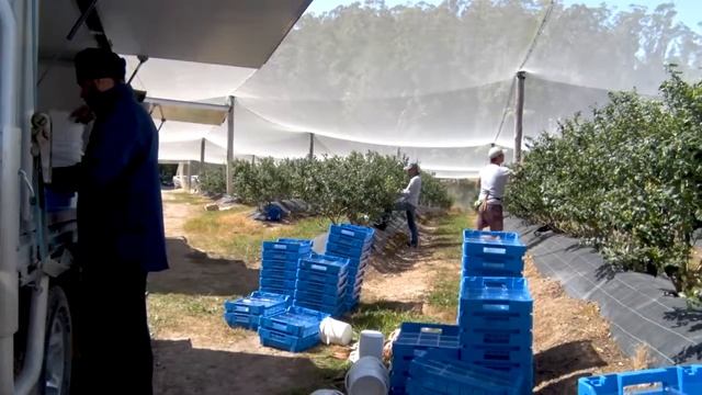 Why use an Irrigation Professional смотреть онлайн
