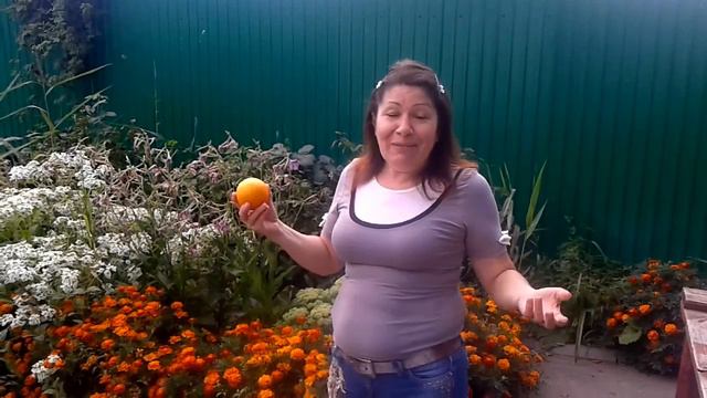 2015 08 07 12 02 32 смотреть онлайн