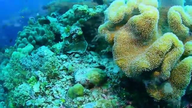 Relax video 4 / Океан смотреть онлайн