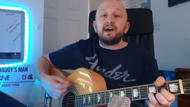 Bad Moon Rising Cover - CCR - MoonFall Soundtrack - Acoustic смотреть онлайн