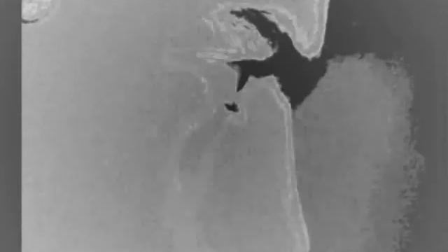 Ast - Razlozene Supstance