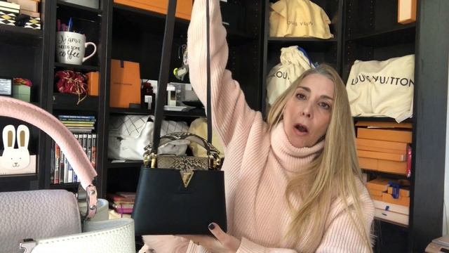 LOUIS VUITTON CAPUCINES BB VS CAPUCINES MINI COMPARISON | WHAT FITS IN MY BAG смотреть онлайн
