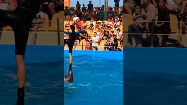 Бегущая по волнам -красавица Марина??❤️ смотреть онлайн