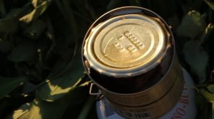 ШОК! ВСТРЕЧА С МЕДВЕДЕМ В ПОХОДЕ, турист попал в тайге. Один в заповеднике. АБВГАТ