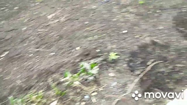 вскопала в теплице.удобрение на огород.взошел Юлин лук.Жаворонки метель пурга.