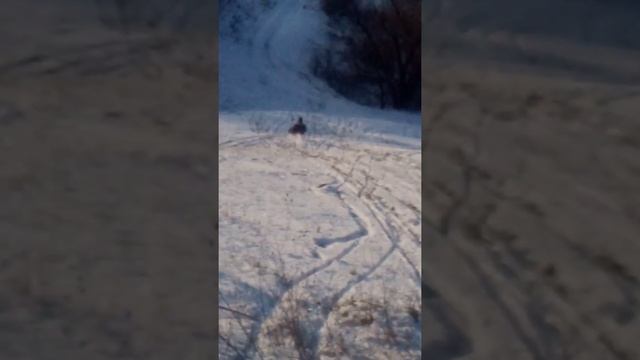 Катаемся на санках (1 Часть) смотреть онлайн