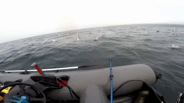 ВЕЧЕРНИЙ КЛЁВ ТРЕСКИ . РЫБАЛКА в БАРЕНЦЕВОМ МОРЕ. "Evening the bite of cod. Barents sea. " смотреть онлайн