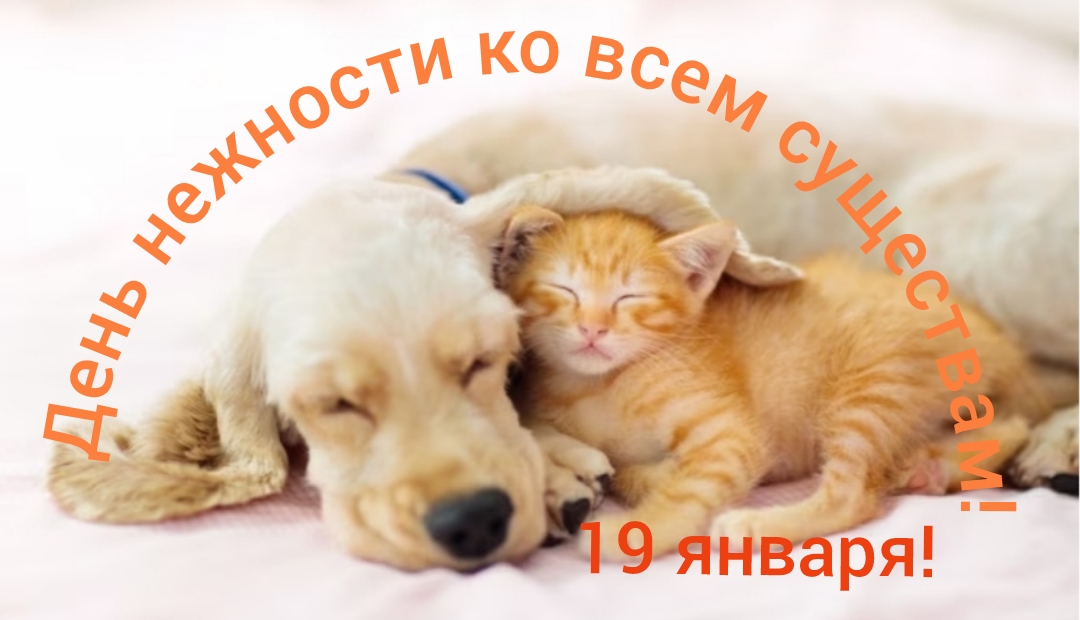 День нежности ко всем существам! смотреть онлайн