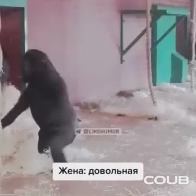 приколы - жена довольна смотреть онлайн