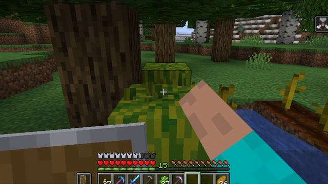 Survival In Minecraft 113