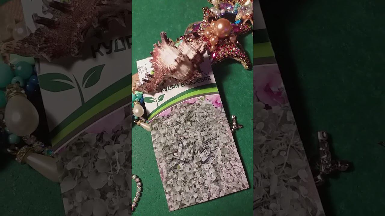 Залила дихондру... Возобновляю #дихондра смотреть онлайн