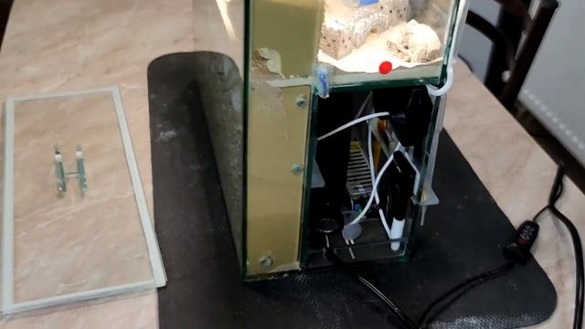 Муравьиная ферма, своими руками, Формикарий, муравьи, смотреть онлайн