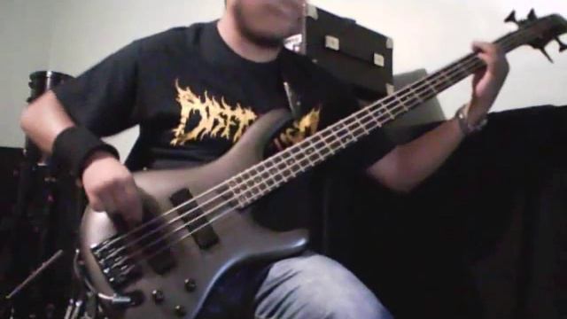 Atheist - Mineral (Bass Cover) смотреть онлайн