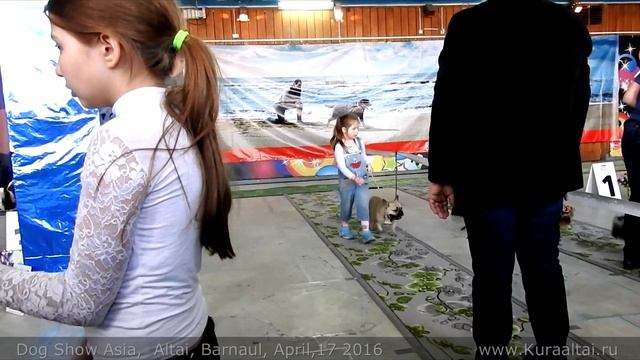 Junior Handler Child And Dog Show Юный хендлер  Ребёнок и собака Выставка собак  2016