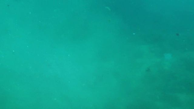 бородачи страшная сила underwater смотреть онлайн
