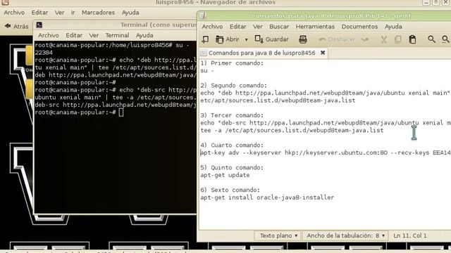 Como descargar e instalar java 8 en linux canaima смотреть онлайн
