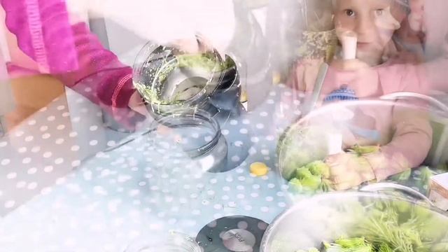 Еловый чай. Еловое масло. Еловая соль. Что можно приготовить из ели? смотреть онлайн