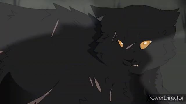 Warriors cats 🌏|| Так Устроен Этот Мир ||🌏 || Клип || смотреть онлайн