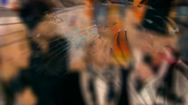 Лайма Вайкуле зафестивалила. В поиски ударилась вся Латвия. смотреть онлайн