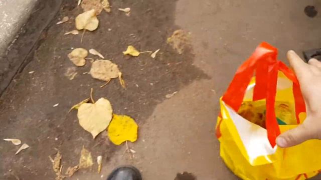 Почему скутер ? смотреть онлайн