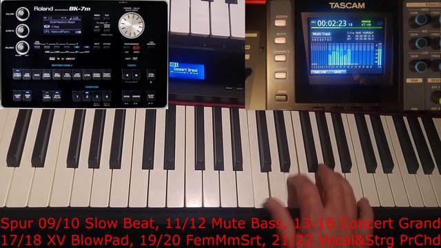 Have Yourself A Merry Little Christmas (Roland RD-88, BK-7m, XV-5080 und Hammond SK PRO) смотреть онлайн