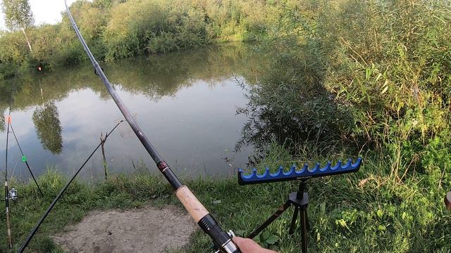 Карась клюёт как весной. Цепляем живца правильно!!! 15.08.2024 г. смотреть онлайн