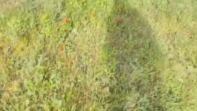 Қорқыт ата туралы аңыз. Қобыз атасы- әр қазақ білу керек. Аудиокітап Өлімнен қашқан Қорқыт ата. смотреть онлайн