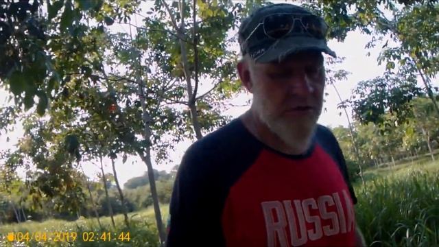 Мексика. Штат Кампече, Чьяпас. Дорога из Шпухиля в Паленке. Часть 7. смотреть онлайн